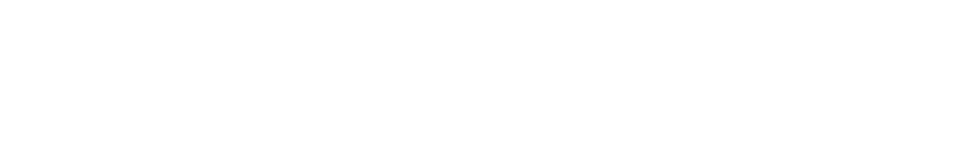 Raven The Agency